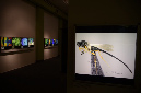 Wasp_exhibition__DSC3494